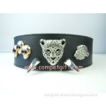 Professional Quality Personalized Pet Dog Collar